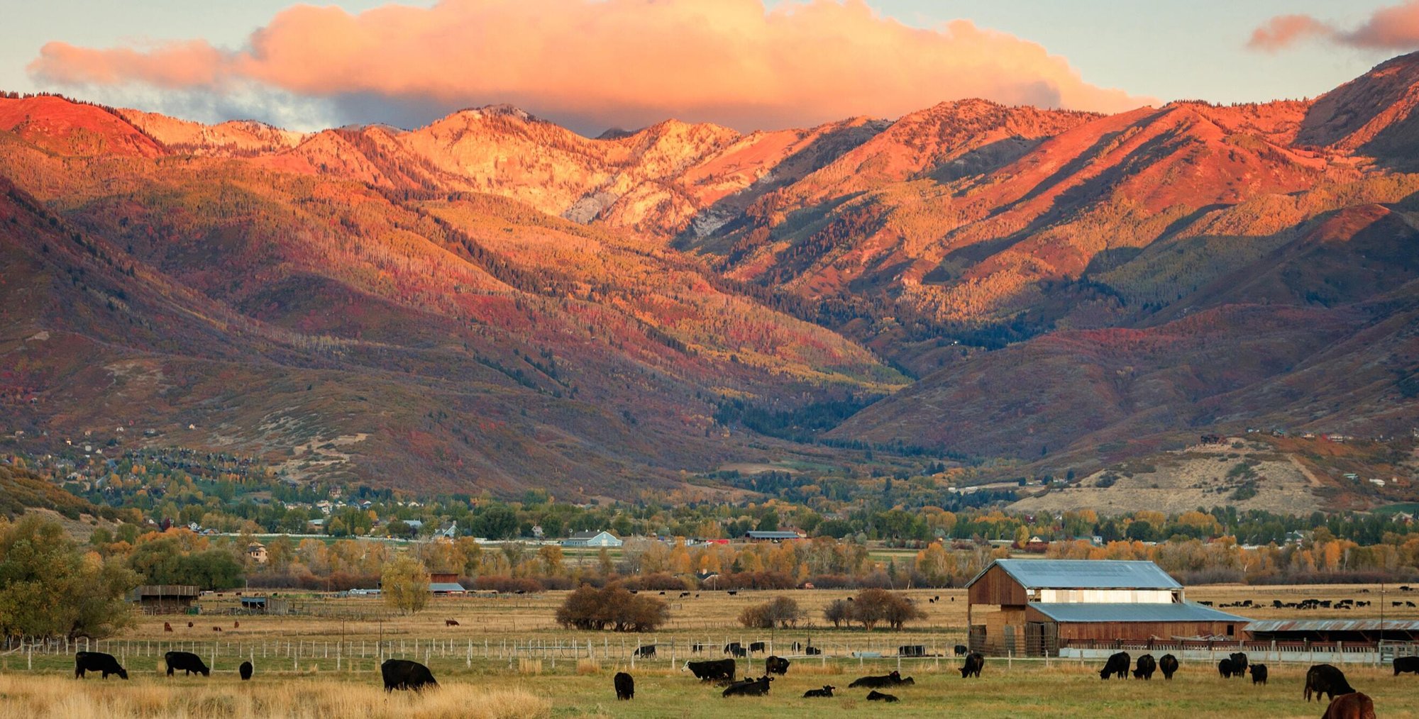 Midway Utah Luxury Custom Home Sites
